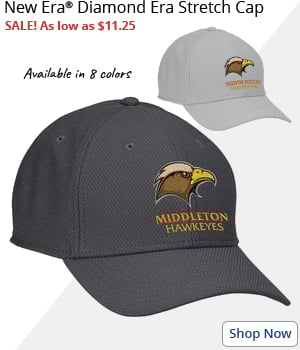 New Era Diamond Era Stretch Cap