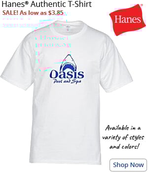 Hanes Authentic T-Shirt