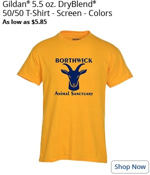 Gildan 5.5 oz. DryBlend 50/50 T-Shirt