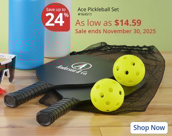 Ace Pickleball Set