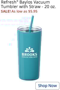 Refresh Baylos Vacuum Tumbler with Straw - 20 oz.