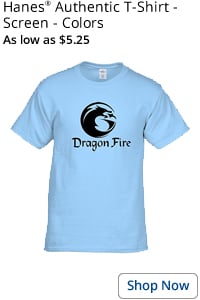 Hanes Authentic T-Shirt - Screen - Colors