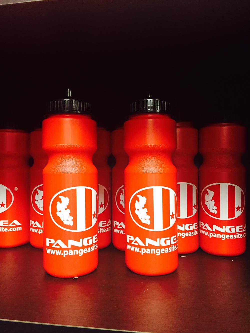 Customer photo from ALEXANDRA of our Bic Clic Stic Pen, a group of red water bottles