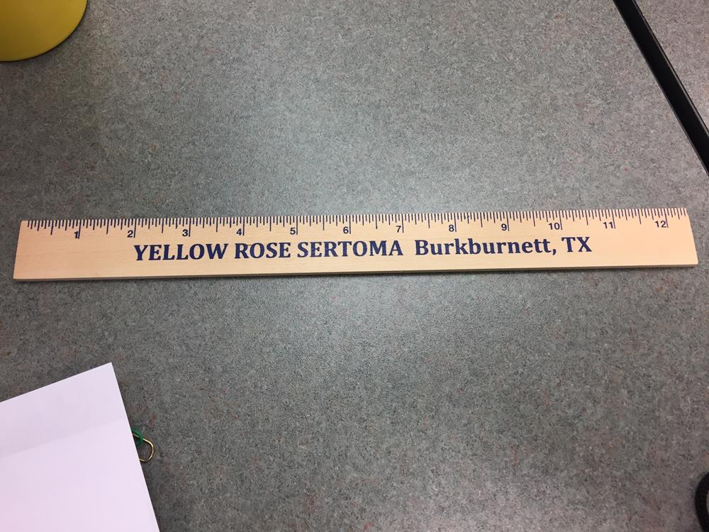 Customer photo from Sequoia of our Natural Finish Ruler - 12", a ruler on a table
