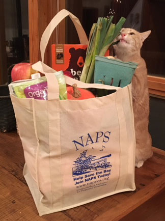 Customer photo from Mike of our Value Grocery Tote - 15" x 13", a cat standing next to a bag of groceries
