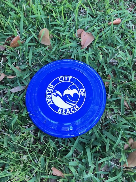 a blue frisbee on grass