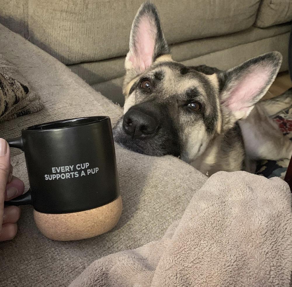 a dog looking at a mug