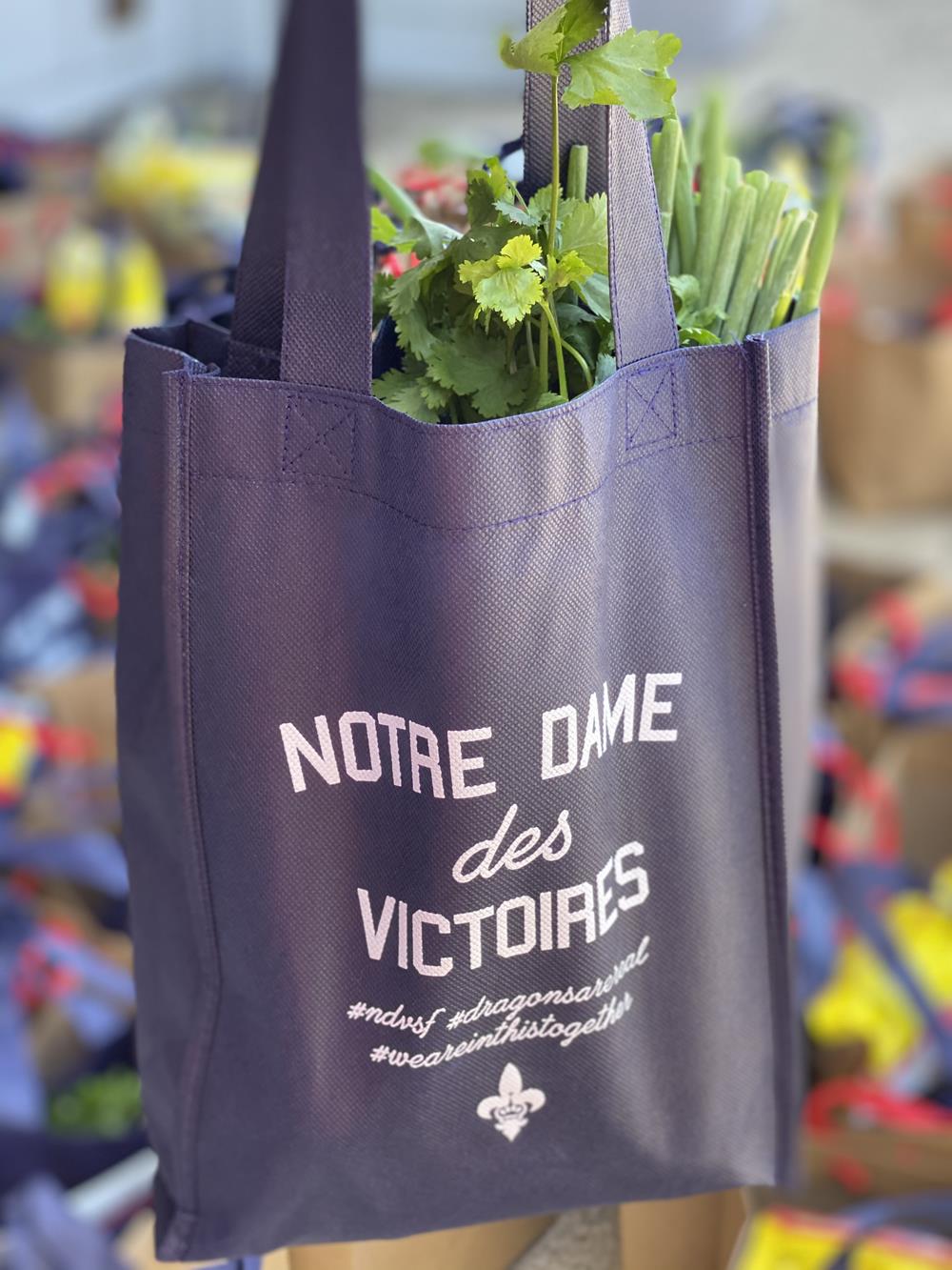 Customer photo from Lara of our Payson Mini Tote - 12" x 9", a bag with vegetables in it