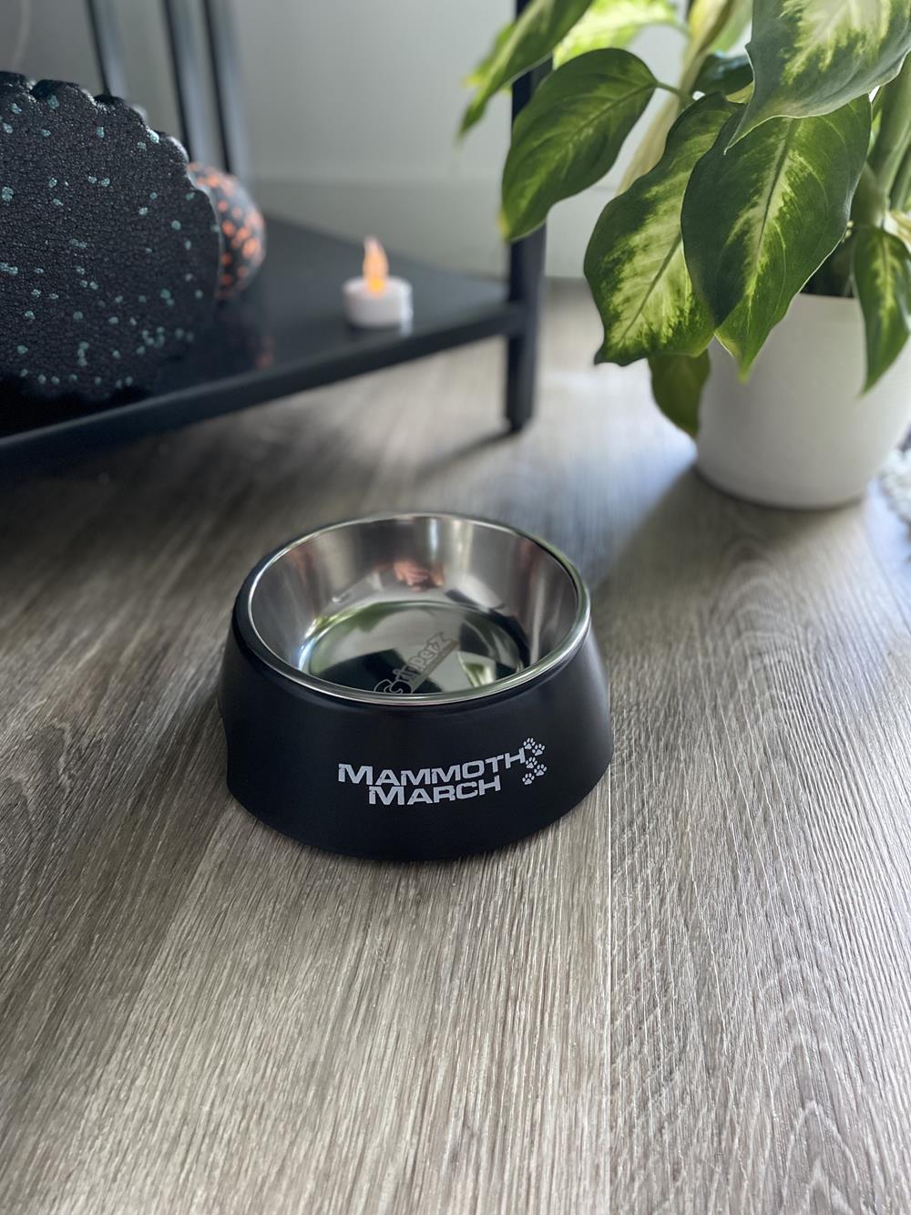 a black and silver dog bowl on a wood surface