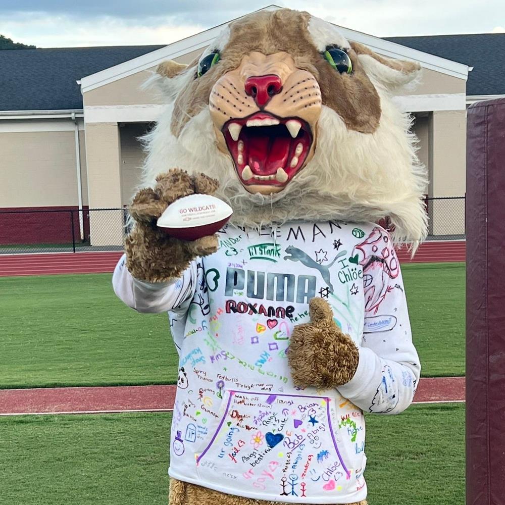 a person in a lion garment holding a football