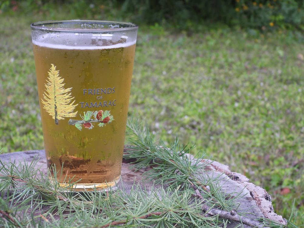 Customer photo from Nancy of our Pint Glass - 16 oz. - Full Color, a glass of beer on a stump