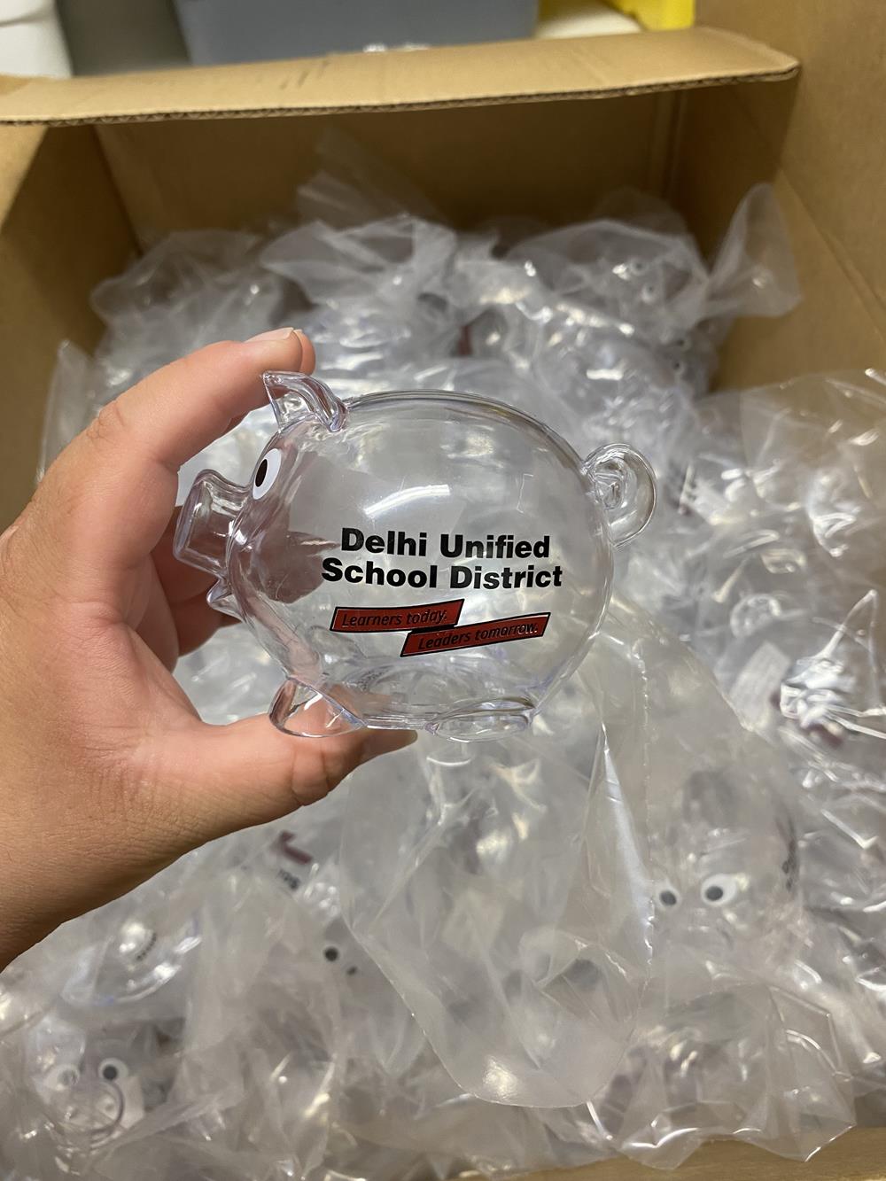Customer photo from Yesenia of our Lil' Piggy Bank, a hand holding a clear piggy bank
