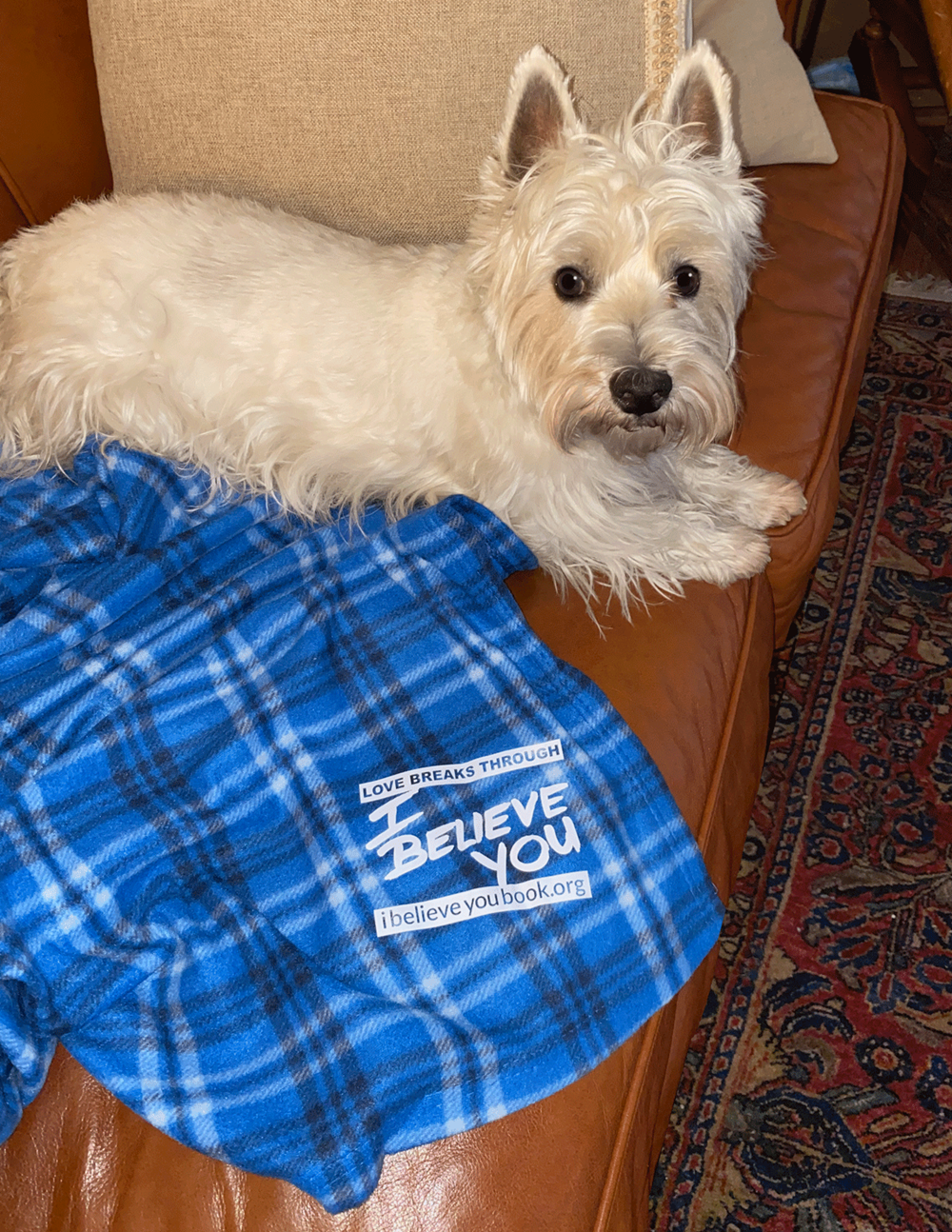 Customer photo from Galen of our Plaid Fleece Blanket, a dog lying on a couch