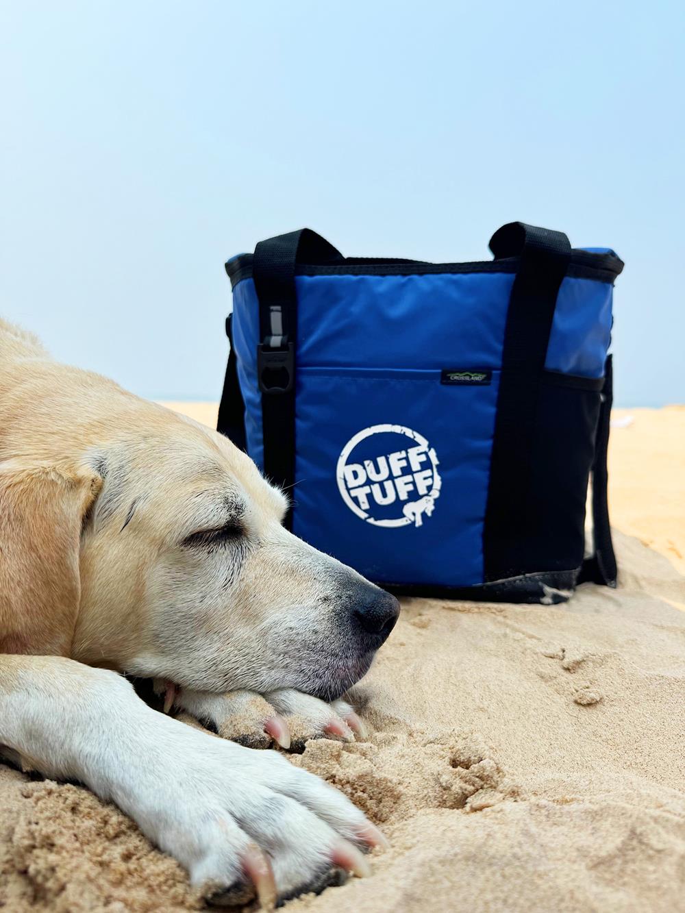 Customer photo from Suzanne of our Crossland 20-Can Outdoor Cooler, a dog lying on sand next to a blue cooler bag