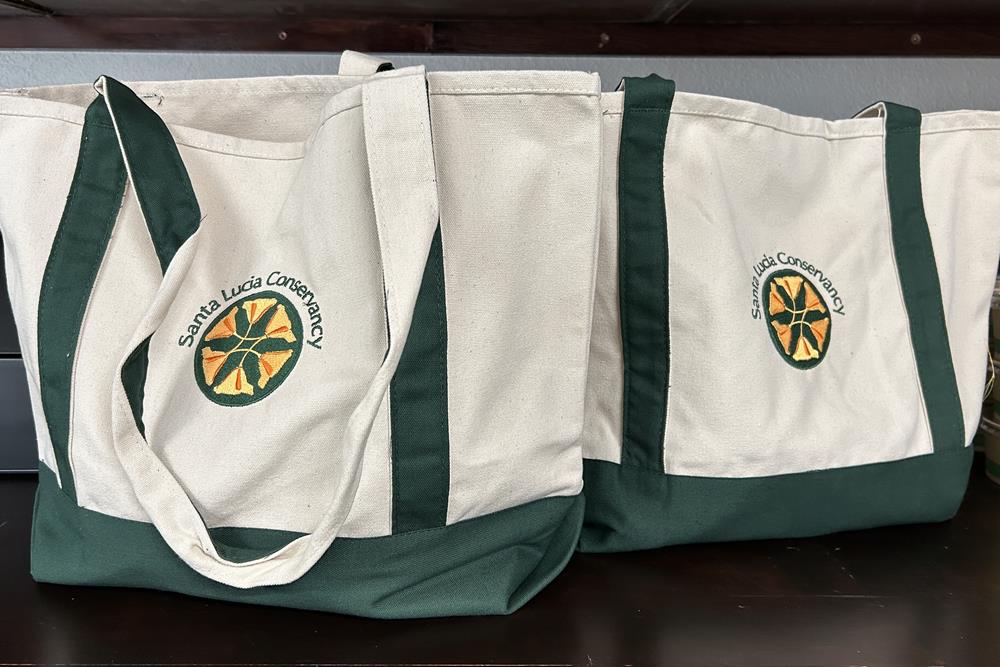 Customer photo from Suzanne of our Two-Tone Accent Gusseted Tote Bag - Embroidered, two white and green bags
