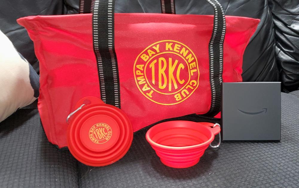Customer photo from Helena of our Tag Along Collapsible Pet Bowl - 4", a red bag with a red cup and a black container