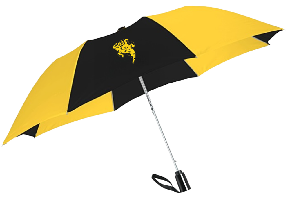 Customer photo from Jessica of our Shed Rain Auto Open Umbrella - 44-inch Arc, a yellow and black umbrella