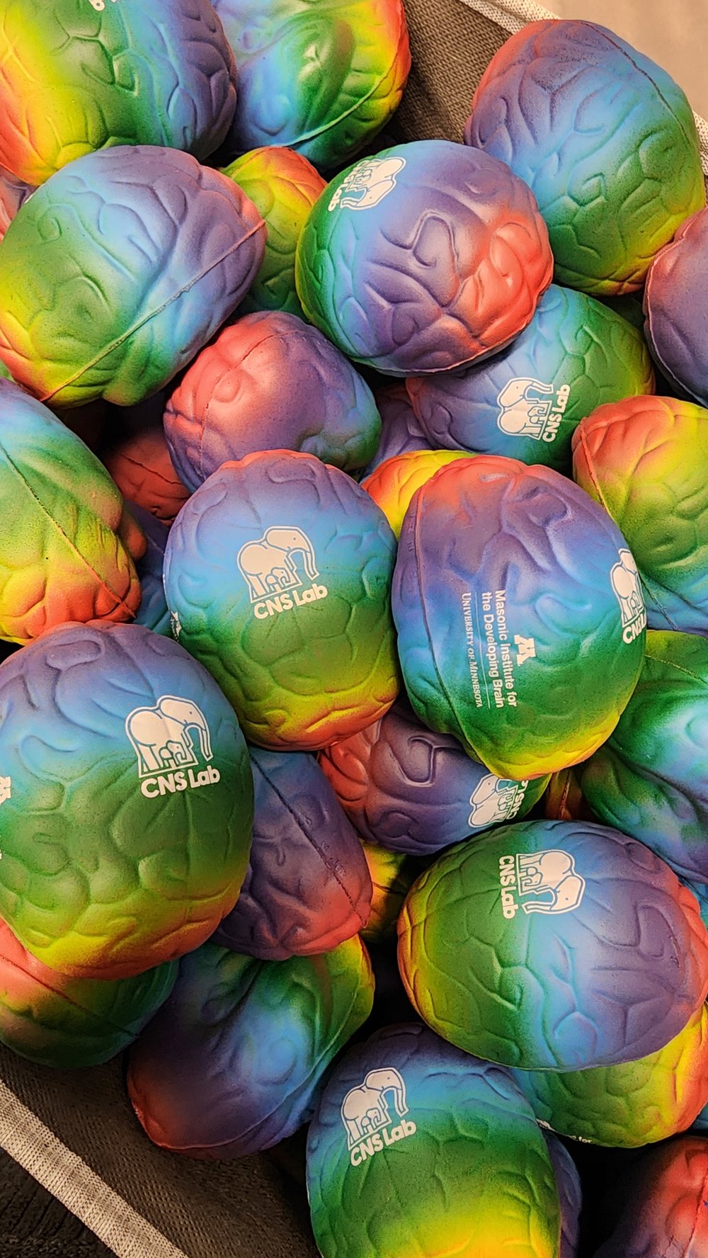 Customer photo from Boa of our Rainbow Brain Stress Reliever, a pile of colorful brain toys