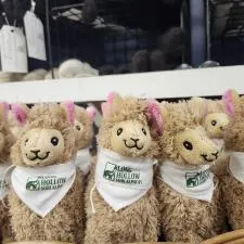 Customer photo from Shae of our Lana Llama, a group of stuffed llamas in a basket