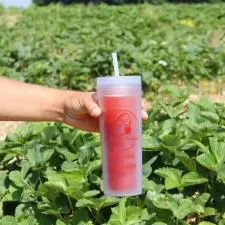 Customer photo from Daryl of our Dash Soft-Touch Acrylic Tumbler with Straw - 17 oz., a hand holding a cup with a straw