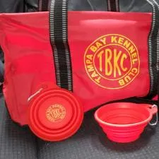 Customer photo from Helena of our Tag Along Collapsible Pet Bowl - 4", a red bag with a red cup and a black container