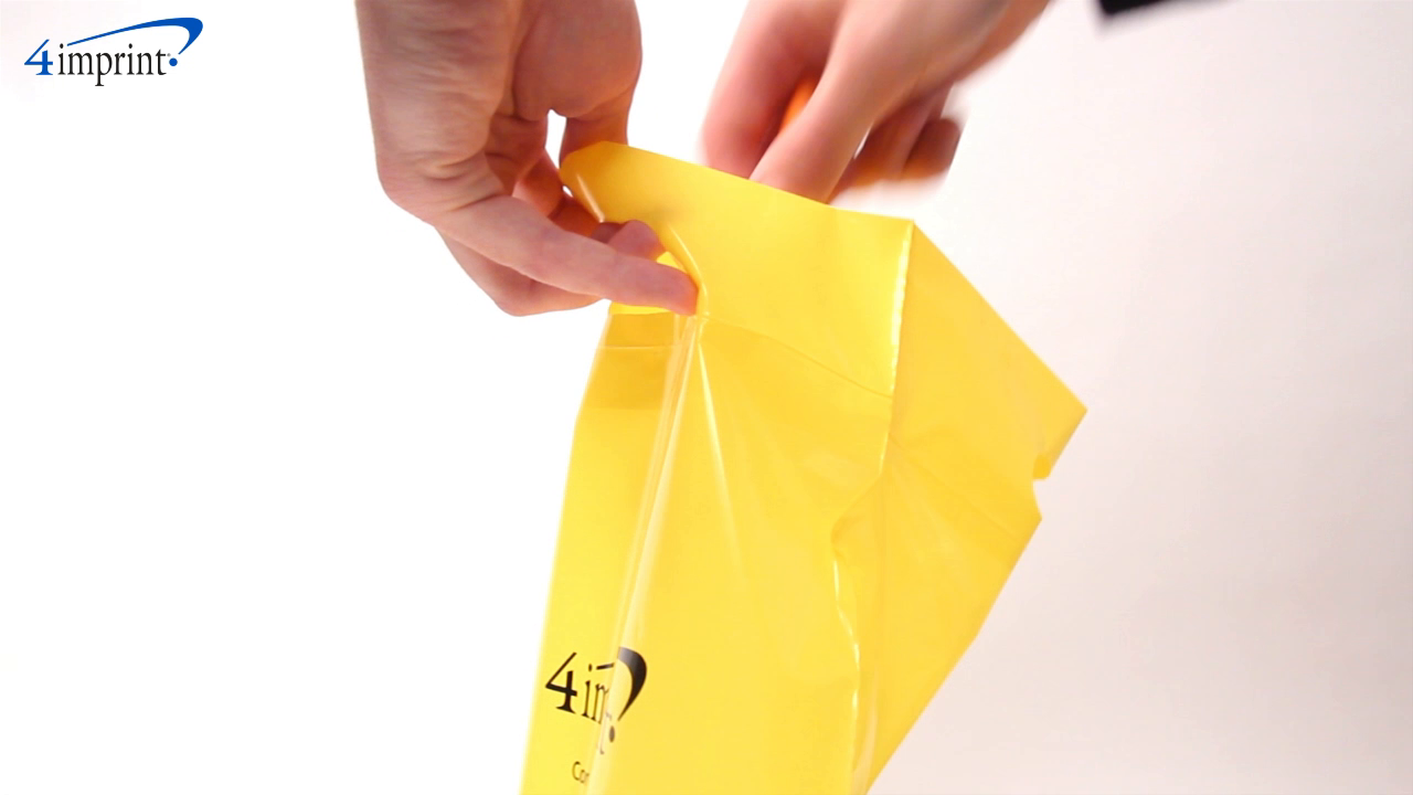 Convention Bag with Reinforced Handles - 19 inches x 15 inches